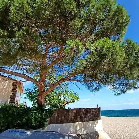 Pour 4, Proche Plage, Commerces Et Parking Prive - Fr-1-776-63 Lejlighed *