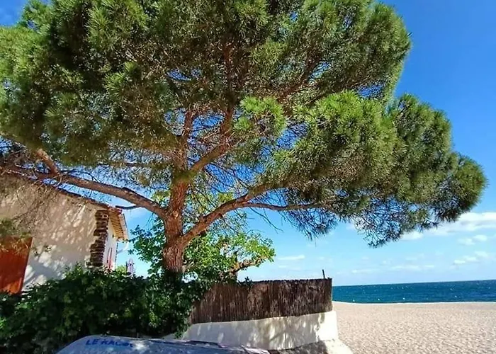 Pour 4, Proche Plage, Commerces Et Parking Prive - Fr-1-776-63 דירה *